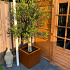Cortenstaal plantenbak Miami 50x50x60 cm