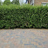 Betonstraatsteen 6 cm oud bussum komo