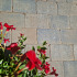 Stonique trommel 20x30x6 cm musselkalk
