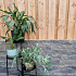 Splitrock 32x13x11 cm 2.0 concrete