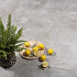GeoCeramica® 60x60x4 BelCem.Certo Grigio
