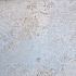 Carpet 50x100x2 cm sand natural