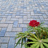 Betonstraatsteen 6 cm musselkalk komo