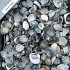 Schone Schelpen 1,0 m3 (opslag Stenekes)