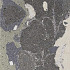 Lithops 50x100x2 cm lipan stamp