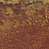 Corten 50x100x2 cm oxidum
