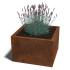 Cortenstaal plantenbak 60x60x30 cm