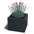 Gepoedercoat staal plantenbak Miami 40x40x80 cm ( RAL7016 )