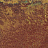 Corten 50x100x2 cm oxidum