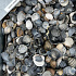 Schone Schelpen 0,7 m3 (opslag Stenekes)