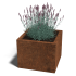 Cortenstaal plantenbak Miami 50x50x30 cm