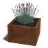Cortenstaal plantenbak Miami 60x60x30 cm