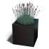 Gepoedercoat staal plantenbak Miami 30x30x80 cm ( RAL9005 )