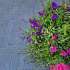 Dikformaat XL 28x7x8 cm antraciet
