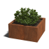 Cortenstaal gelaste plantenbak Montana 80x80x40 cm