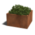 Cortenstaal gelaste plantenbak Montana 100x100x60 cm