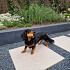 SolidSquare keramisch 60x60x3 cm limerock greige