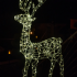 Rendier 3D LED 115 cm 240 LED