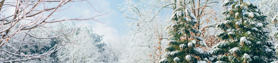 Kerstmis